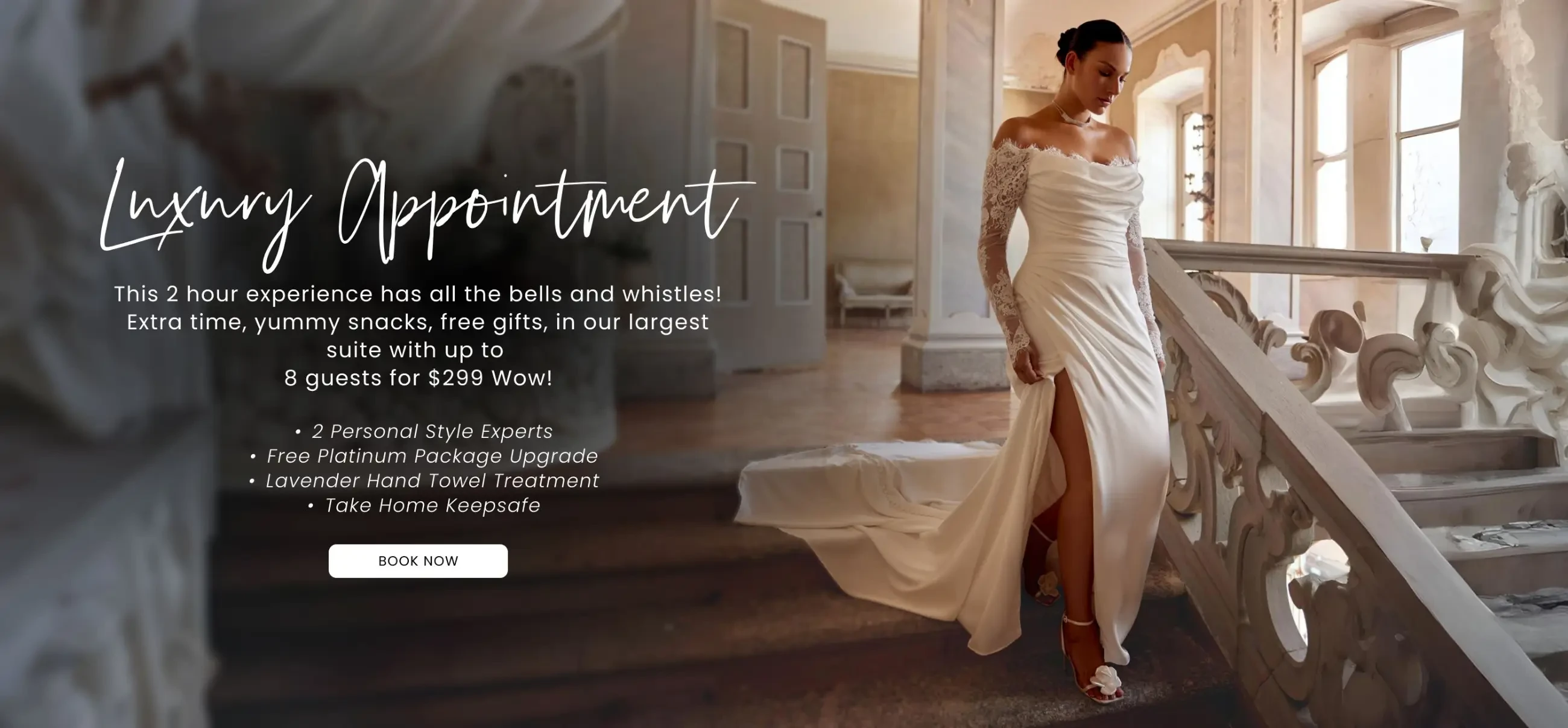 Luxury Appointment Desktop Banner